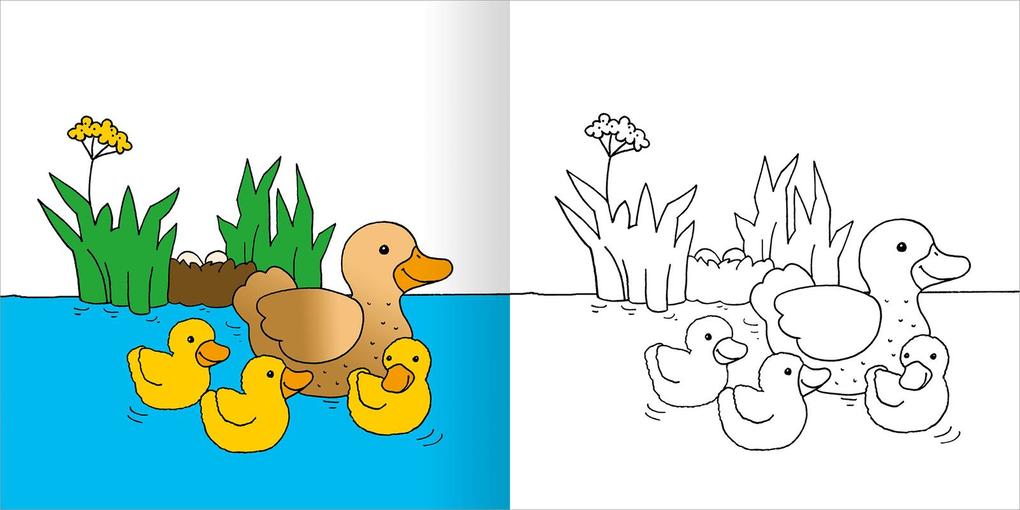 Weitere Ansicht: Mein erstes dickes Malbuch ab 2 - Frühling