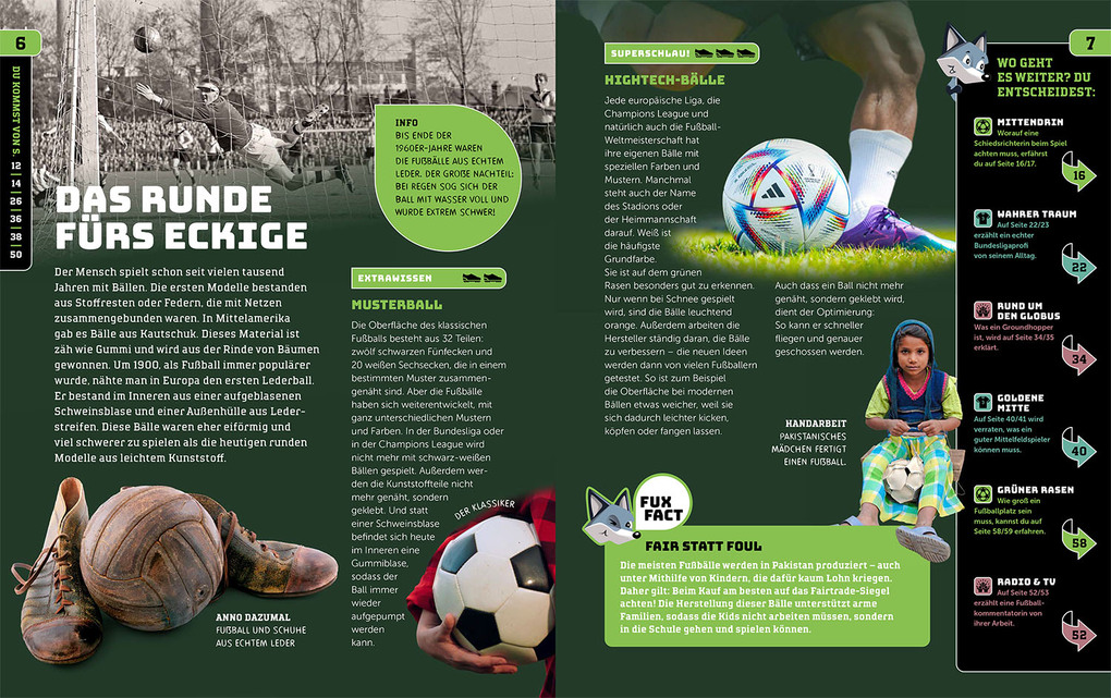 Weitere Ansicht: Kosmos SchlauFUX Fußball, | Birk Grüling