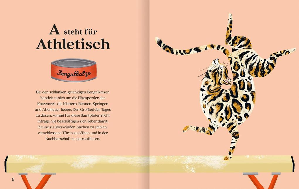 Weitere Ansicht: Katzenalphabet