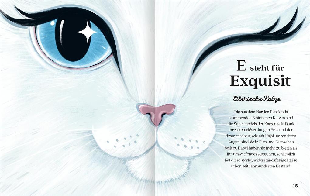 Weitere Ansicht: Katzenalphabet