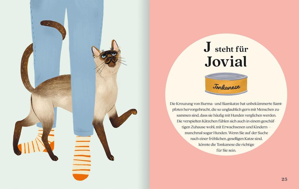 Weitere Ansicht: Katzenalphabet