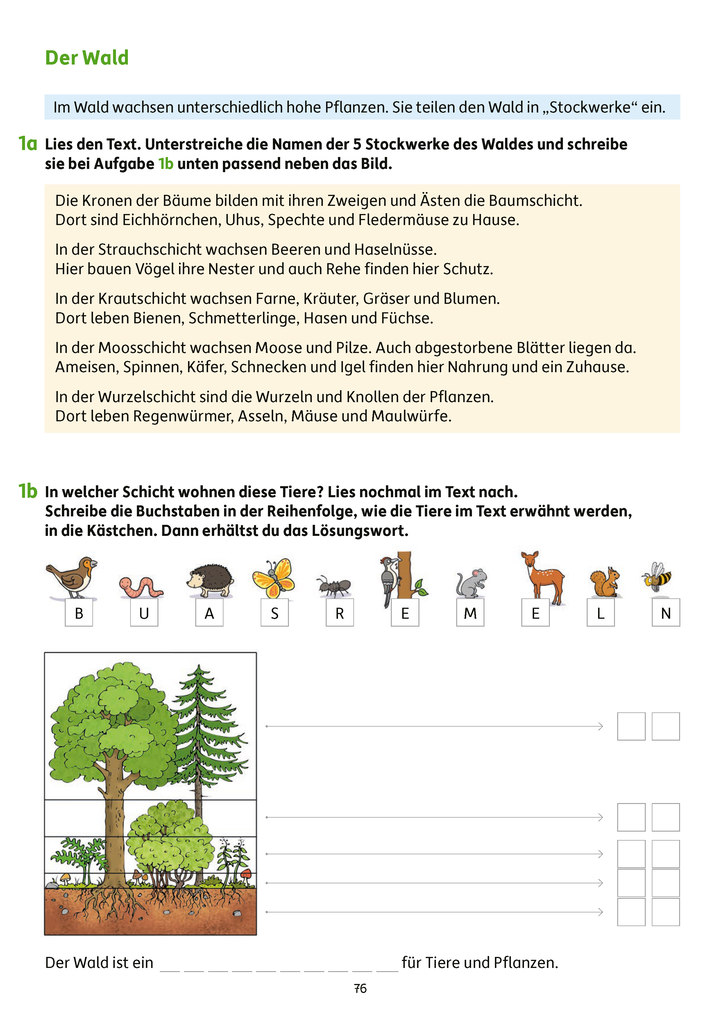 Weitere Ansicht: Erfolgreich durch die 3. Klasse - Mathe, Deutsch, Sachunterricht | Diana Depireux