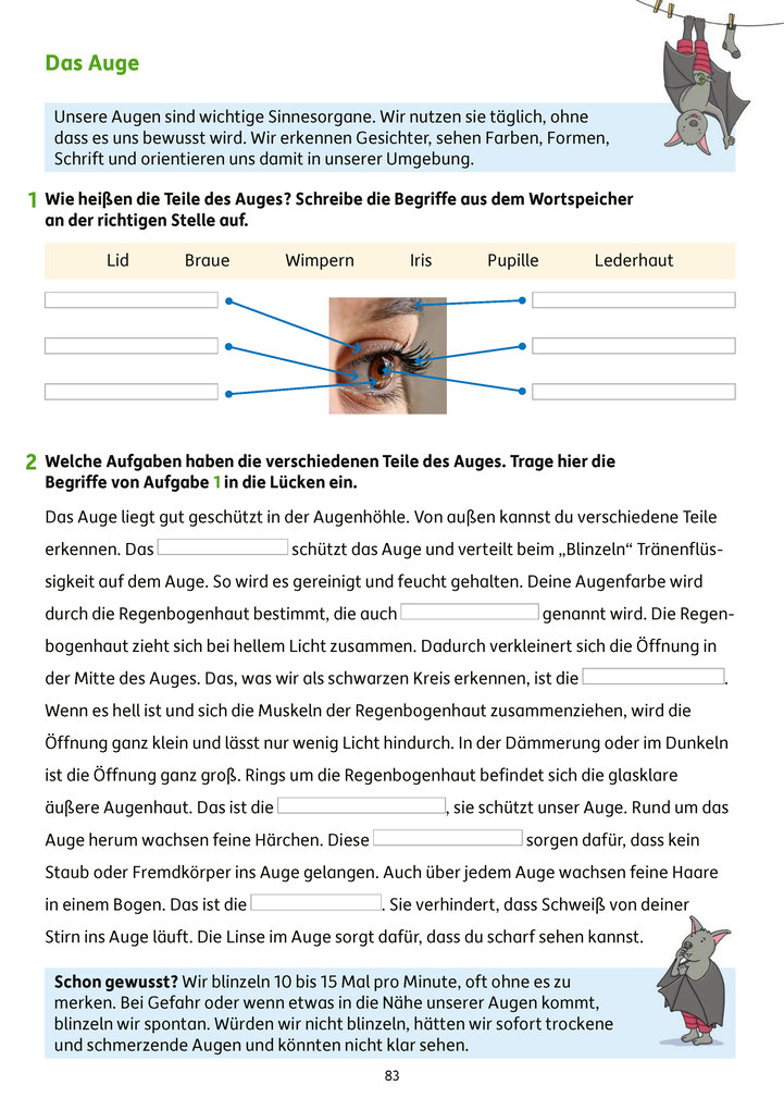 Weitere Ansicht: Erfolgreich durch die 3. Klasse - Mathe, Deutsch, Sachunterricht | Diana Depireux