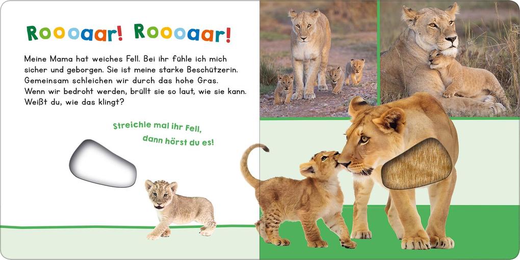 Weitere Ansicht: Hör mal rein, wer kann das sein? - Meine Mama