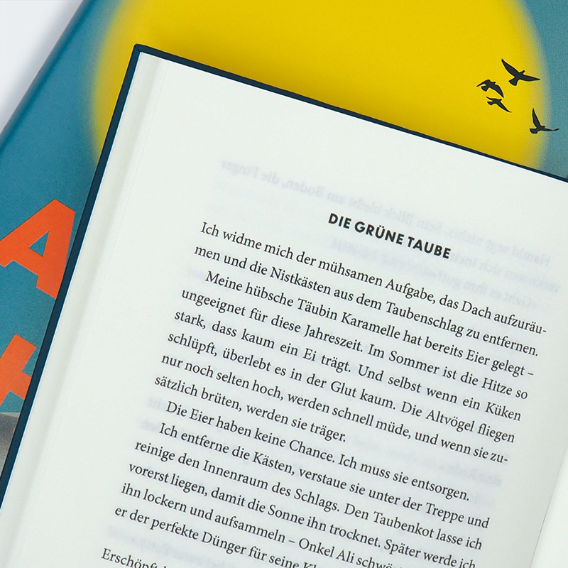 Weitere Ansicht: Der letzte Sommer der Tauben | Abbas Khider