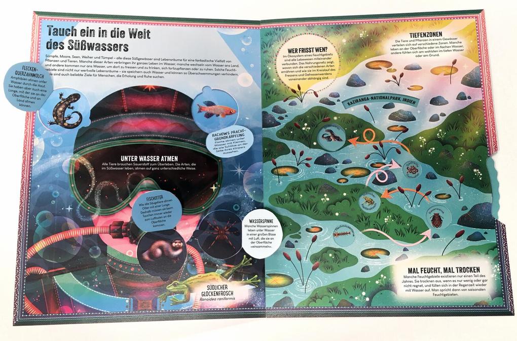 Weitere Ansicht: Das unglaubliche Pop-up-Buch - Am Wasser | Ben Hoare