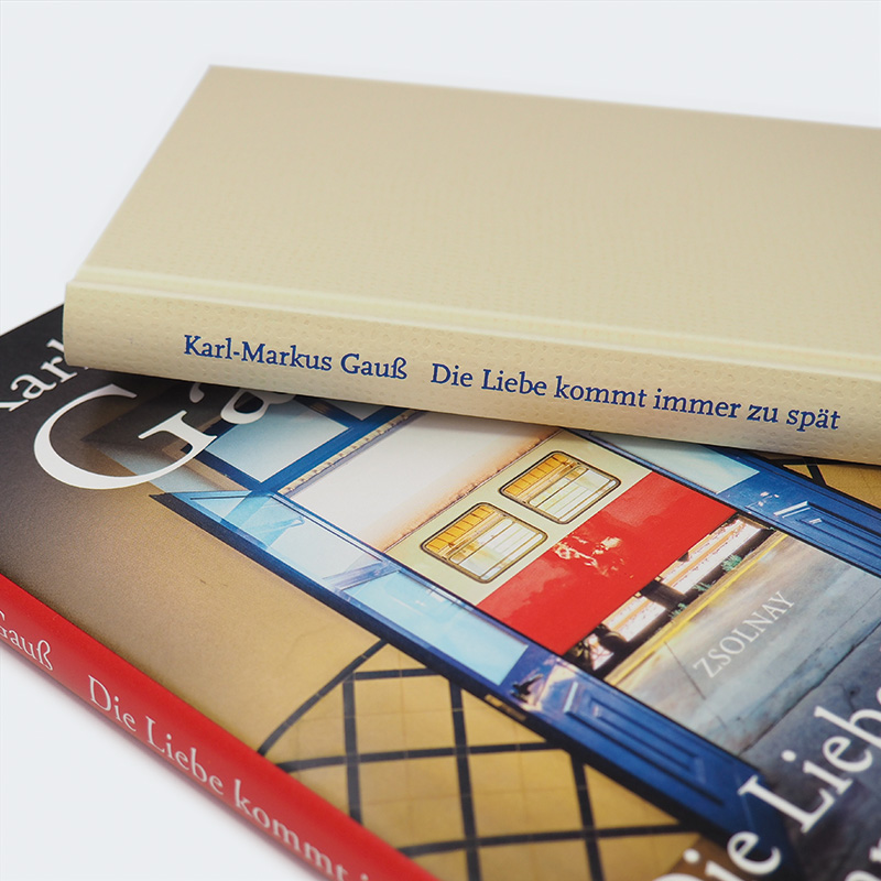 Weitere Ansicht: Die Liebe kommt immer zu spät | Karl-Markus Gauß