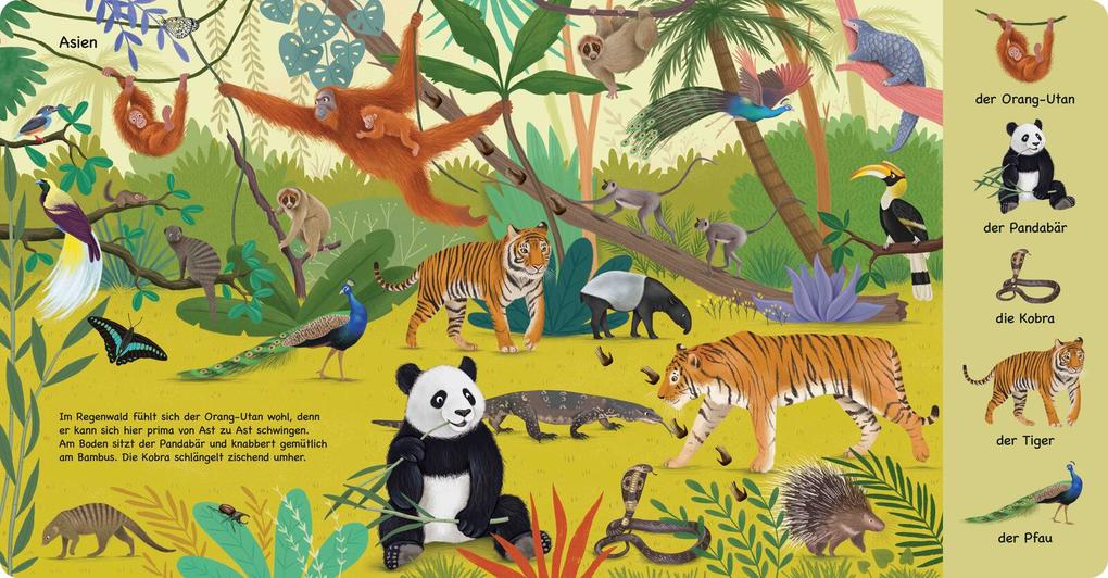 Weitere Ansicht: Tiere aus aller Welt | Katharina Lotz