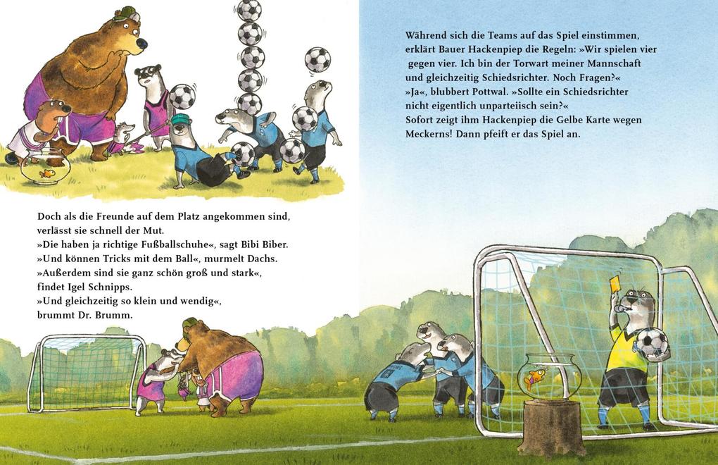 Weitere Ansicht: Dr. Brumm: Anpfiff für Dr. Brumm | Daniel Napp