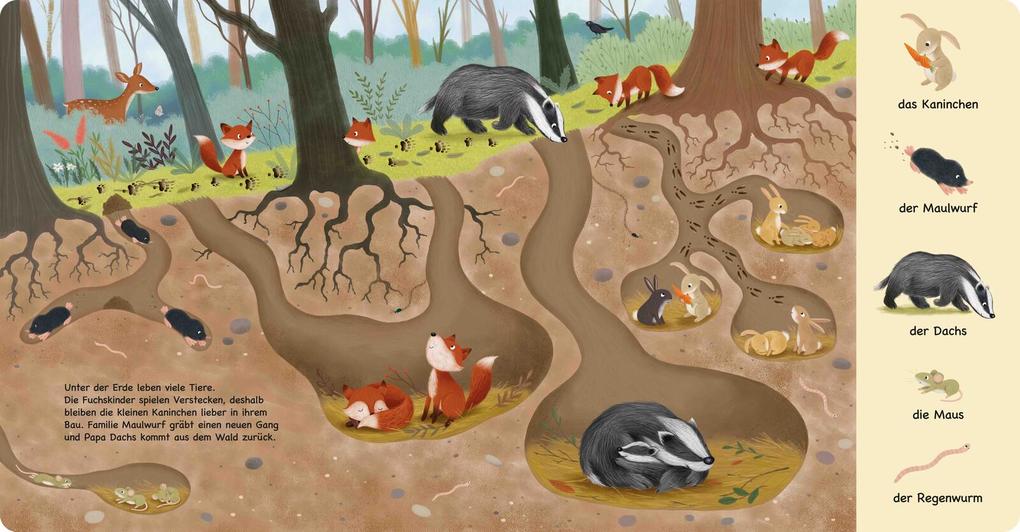 Weitere Ansicht: Tiere im Wald | Sibylle Schumann