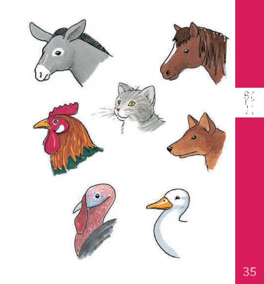 Weitere Ansicht: Langenscheidt OhneWörterBuch