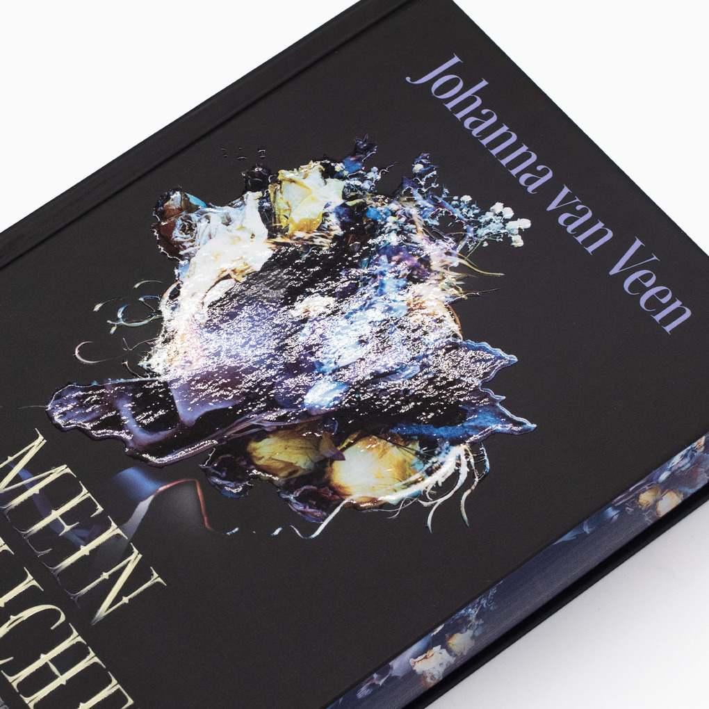 Weitere Ansicht: Mein zärtlicher Schatten | Johanna van van Veen