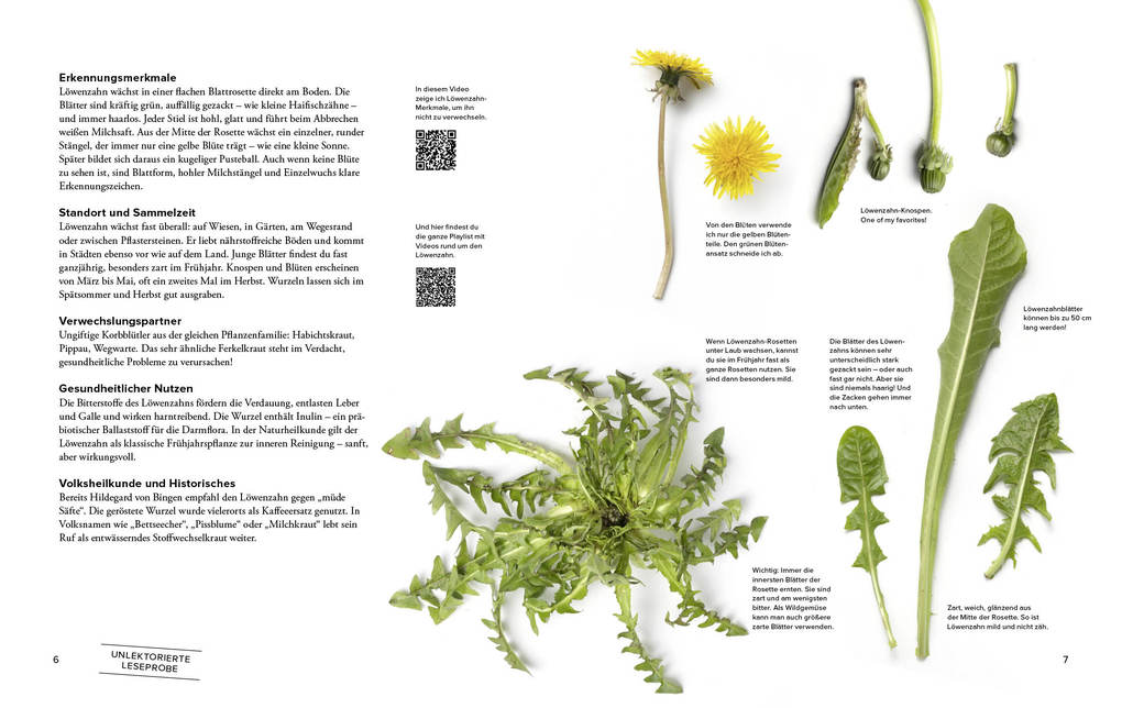 Weitere Ansicht: Wildkräuter Top 10 | Martina Merz