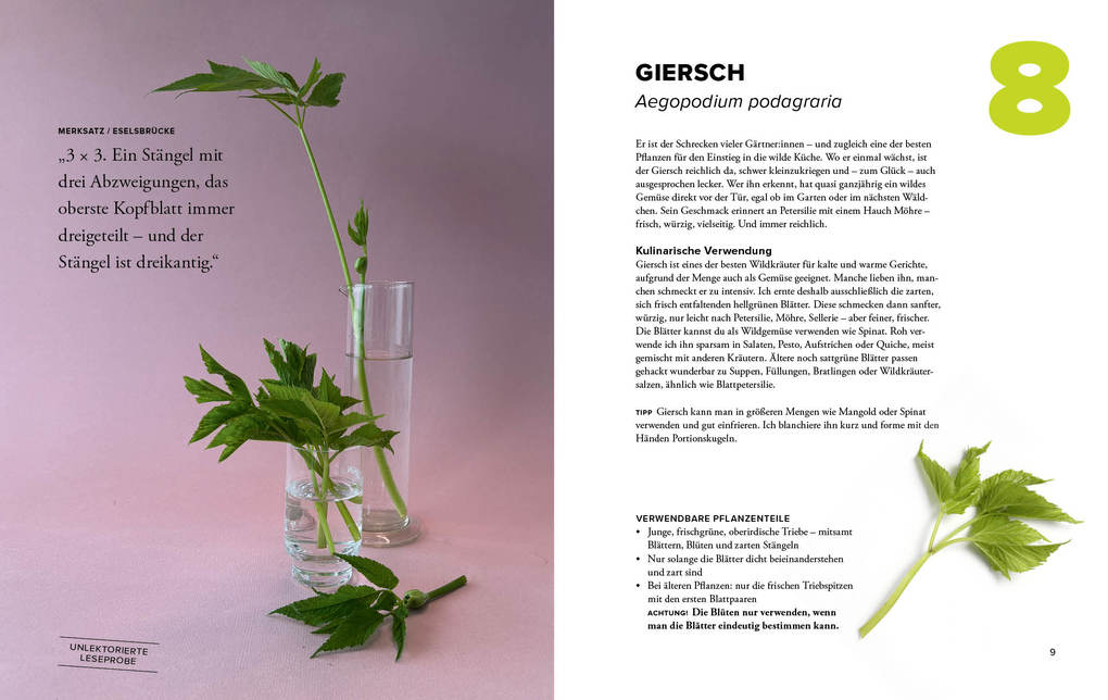 Weitere Ansicht: Wildkräuter Top 10 | Martina Merz