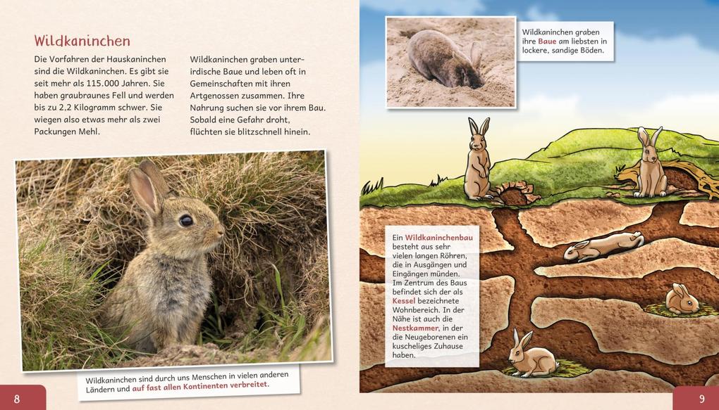 Weitere Ansicht: Meine große Tierbibliothek: Das Kaninchen | Axel Gutjahr