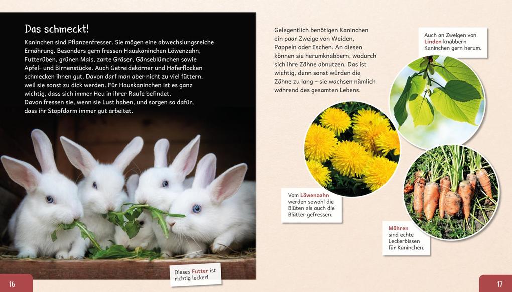 Weitere Ansicht: Meine große Tierbibliothek: Das Kaninchen | Axel Gutjahr