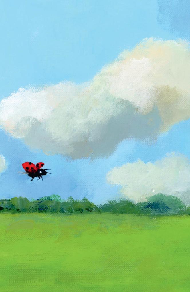 Weitere Ansicht: Die Kunst, Glück zu haben