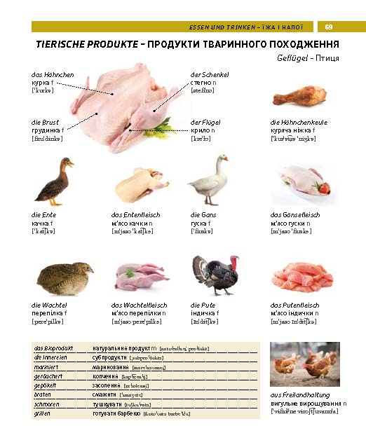 Weitere Ansicht: PONS Bildwörterbuch Ukrainisch