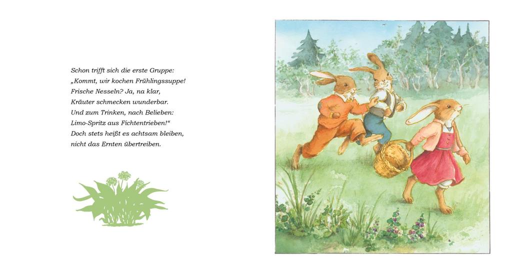 Weitere Ansicht: Die Häschenschule 9: Frühling in der Häschenschule | Julia Walther