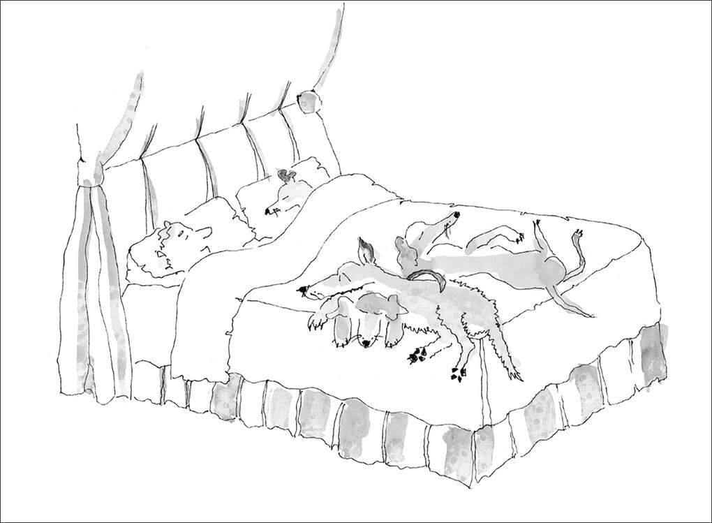 Weitere Ansicht: Penny, Prince und Ginny | Brian Sewell