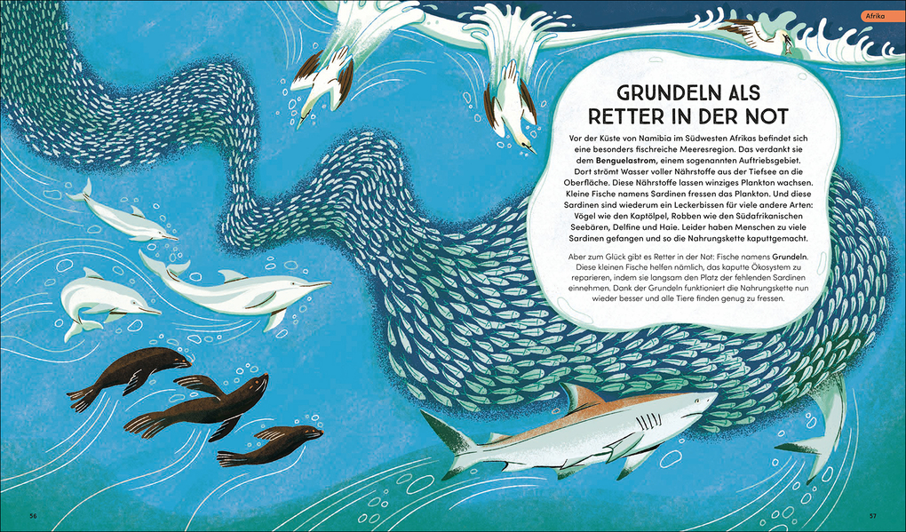 Weitere Ansicht: Tierisch wichtig! | Sharon Wismer