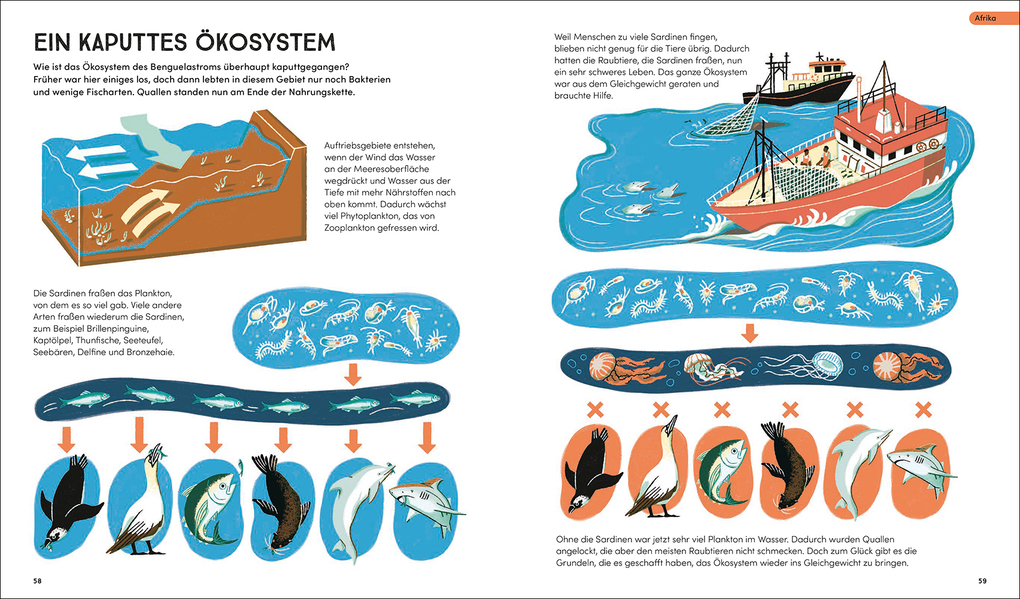 Weitere Ansicht: Tierisch wichtig! | Sharon Wismer