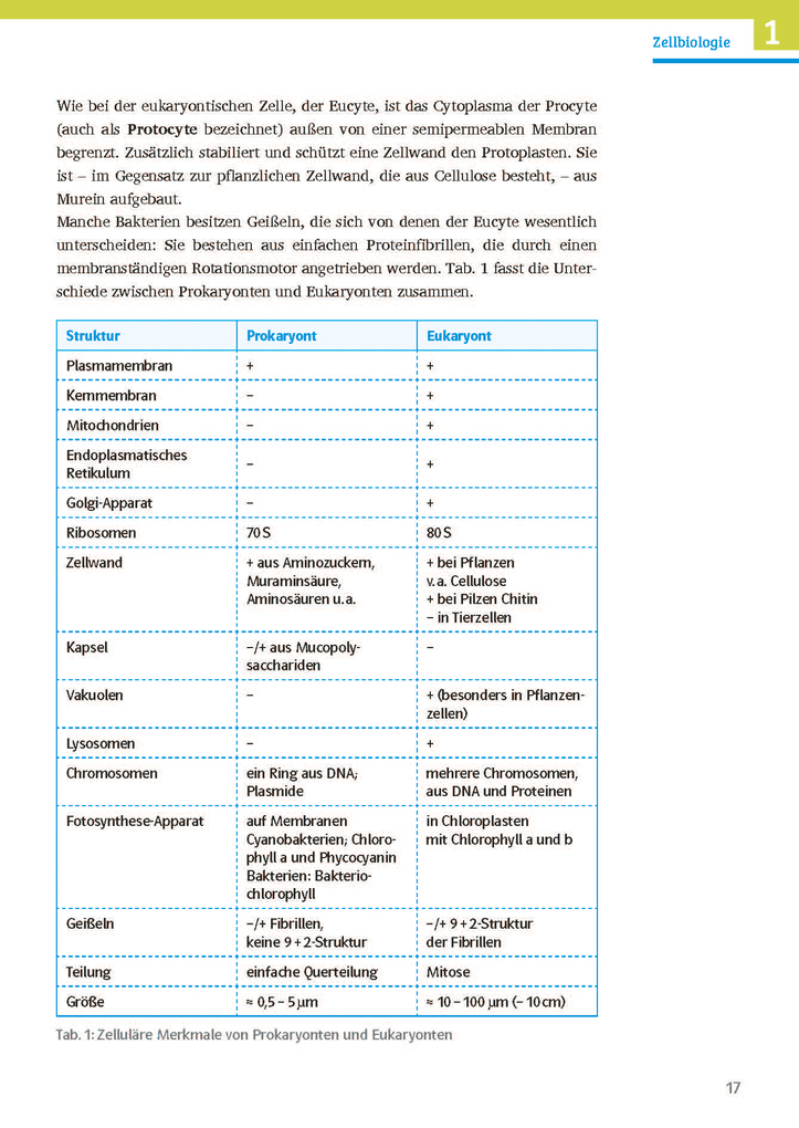 Weitere Ansicht: Sicher im Abi Biologie