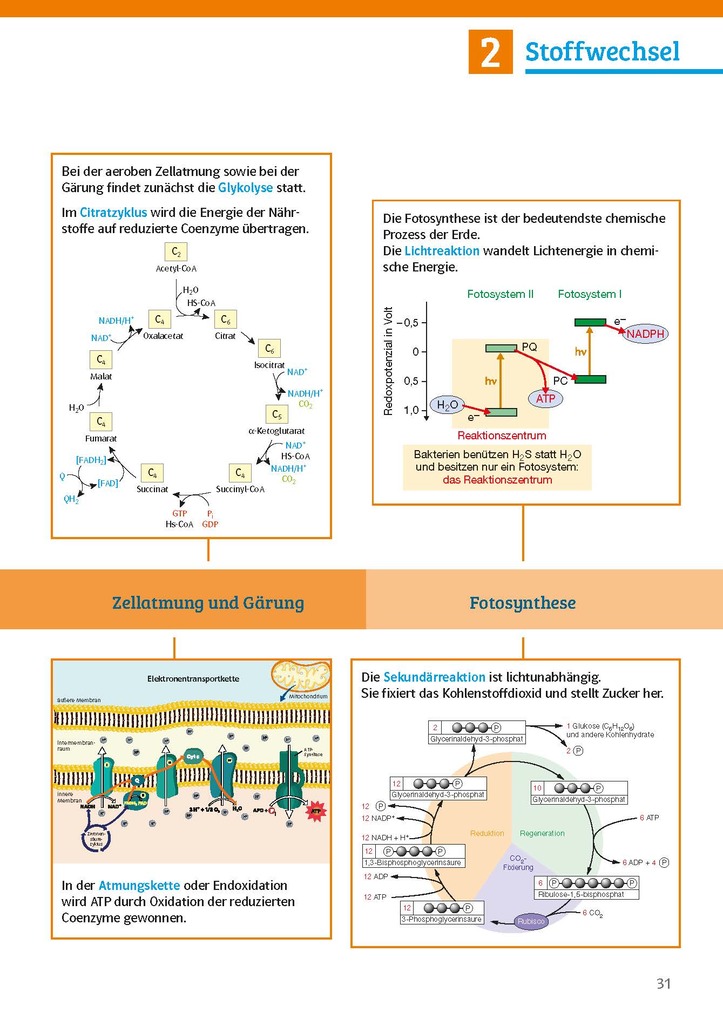 Weitere Ansicht: Sicher im Abi Biologie