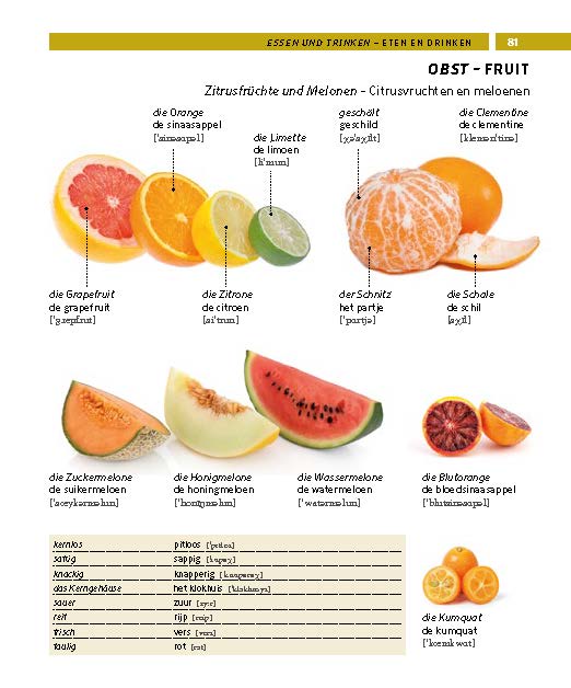 Weitere Ansicht: PONS Bildwörterbuch Niederländisch