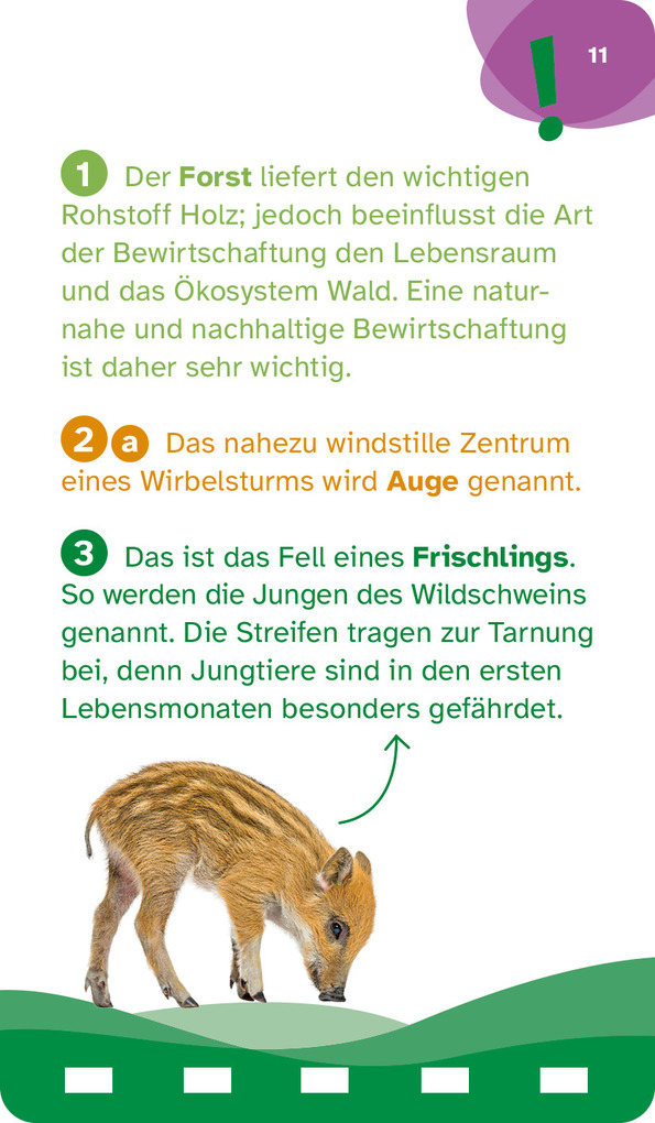 Weitere Ansicht: WAS IST WAS Quiz Natur