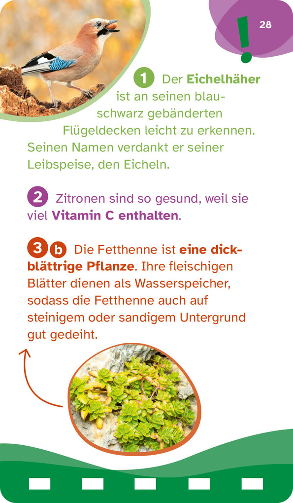 Weitere Ansicht: WAS IST WAS Quiz Natur