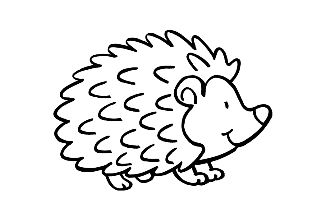 Weitere Ansicht: Erstes Malbuch. Garten