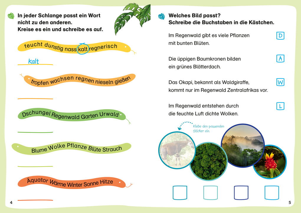 Weitere Ansicht: WAS IST WAS Erstes Lesen. Leserätsel Regenwald | Waltraud Grill