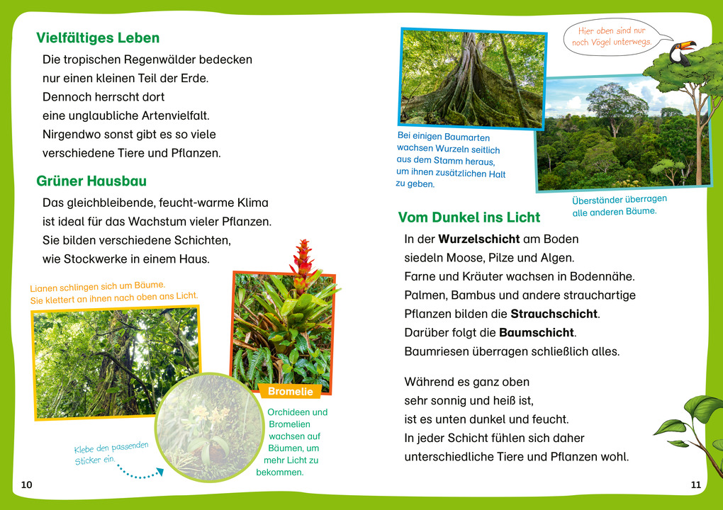 Weitere Ansicht: WAS IST WAS Erstes Lesen. Leserätsel Regenwald | Waltraud Grill