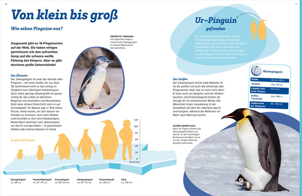 Weitere Ansicht: WAS IST WAS Pinguine. Immer cool drauf | Annette Scheffer