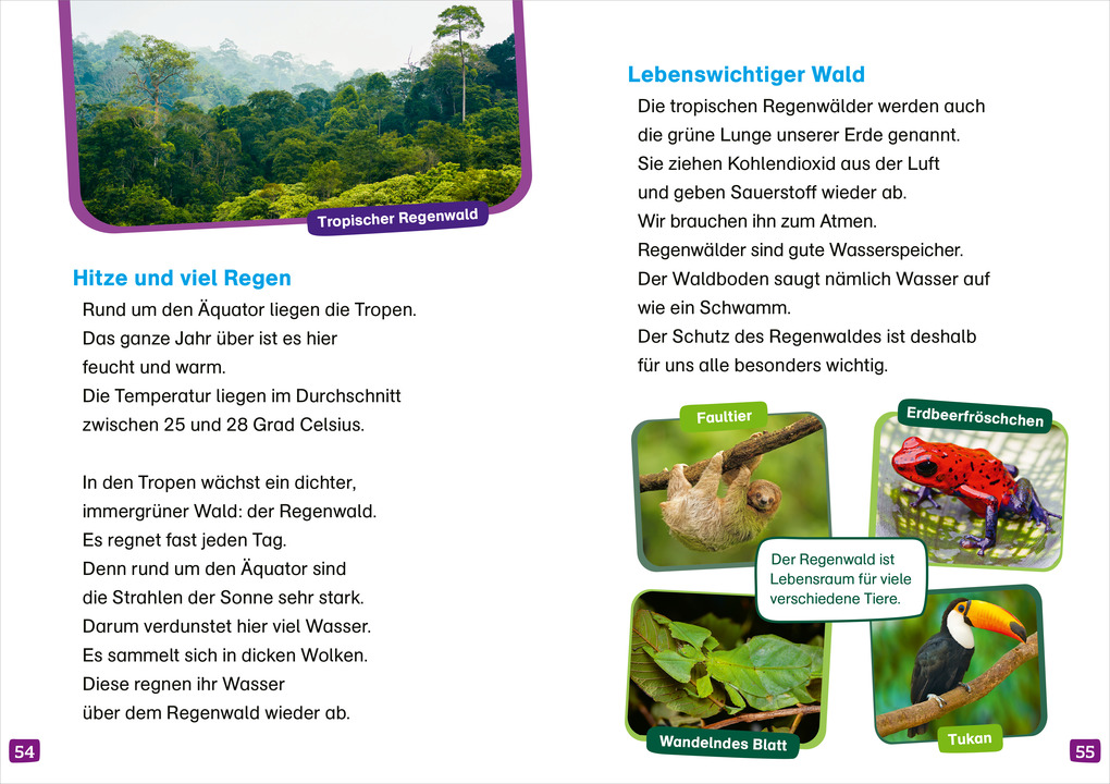 Weitere Ansicht: WAS IST WAS Erstes Lesen. Unsere Erde | Christina Braun