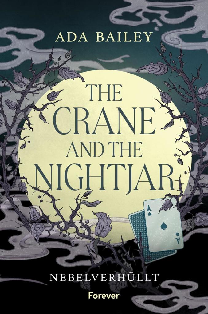 Produktbild: The Crane and the Nightjar | Ada Bailey