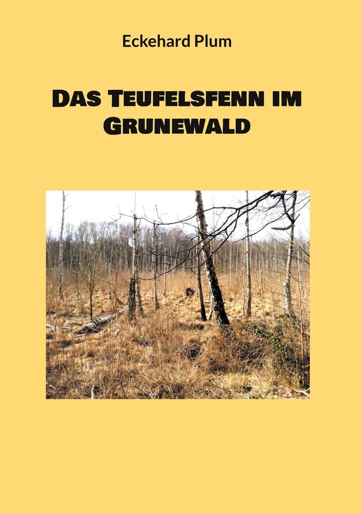 Produktbild: Das Teufelsfenn im Grunewald | Eckehard Plum