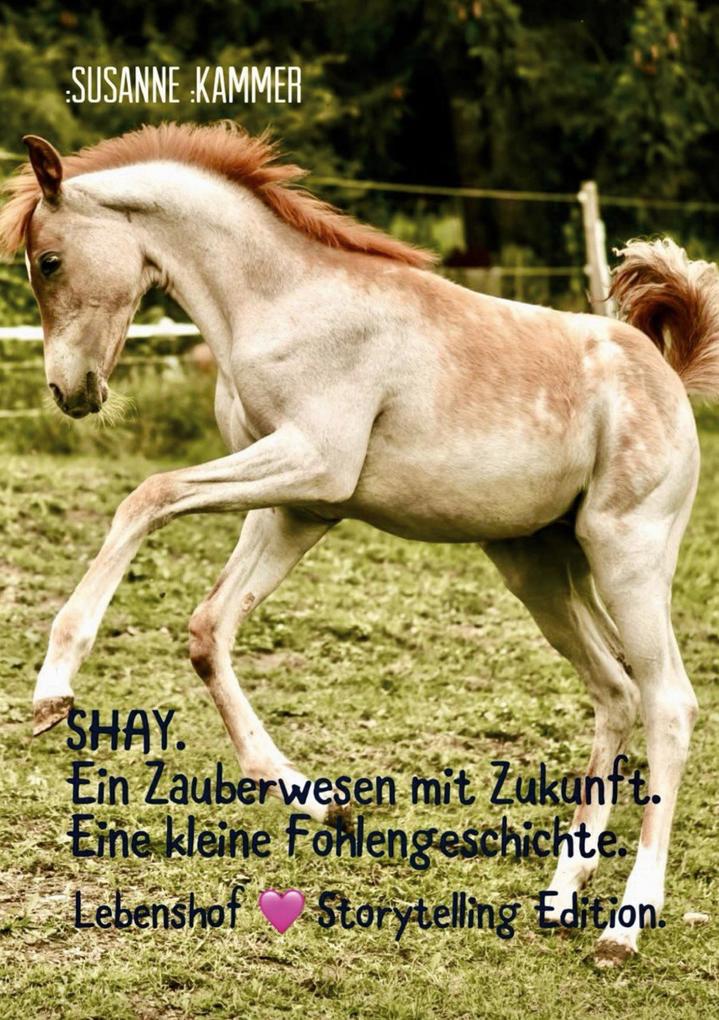 Produktbild: SHAY. Ein Zauberwesen mit Zukunft. Eine kleine Fohlengeschichte. | Susanne Kammer