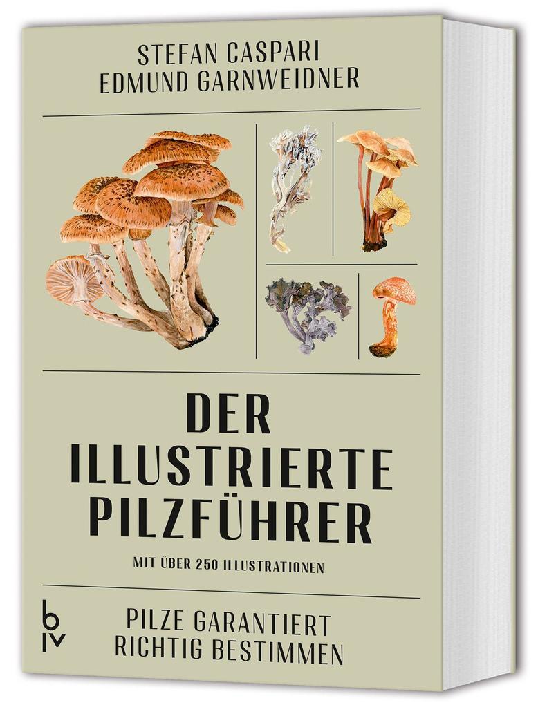 Produktbild: Der illustrierte Pilzführer | Stefan Caspari, Edmund Garnweidner