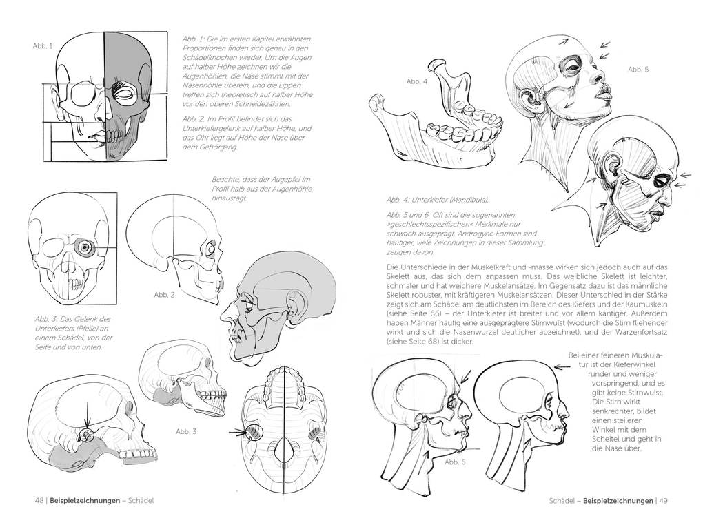 Weitere Ansicht: Morpho Detail - Kopf, Hals und Schultern | Michel Lauricella