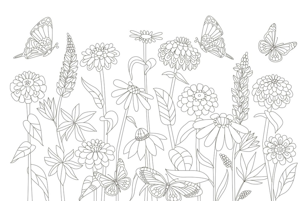 Weitere Ansicht: 50 cozy Karten zum Ausmalen - Blumentraum