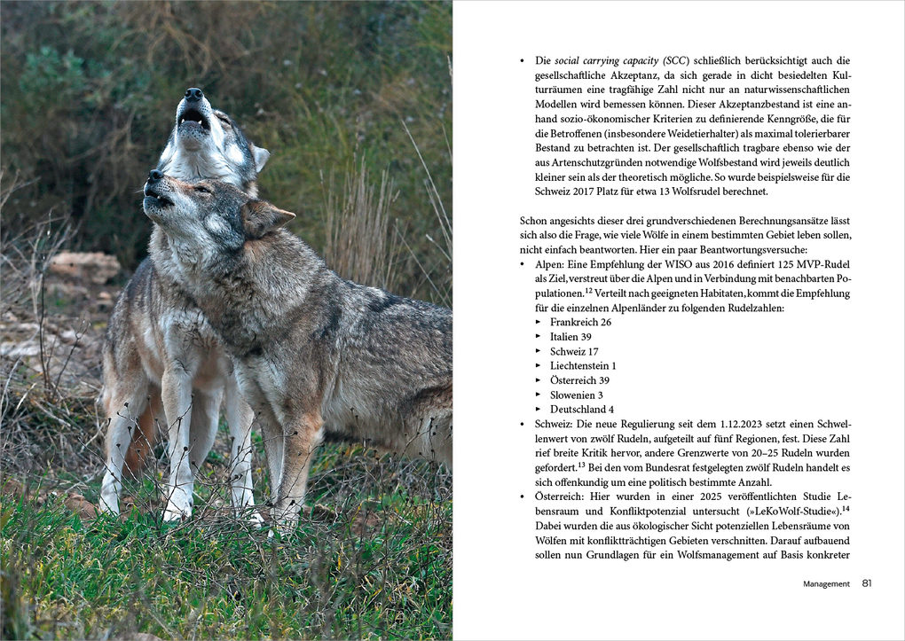 Weitere Ansicht: Leben mit dem Wolf | Roland Norer