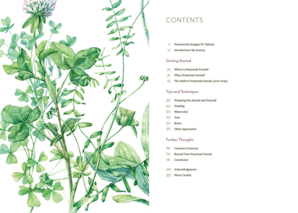 Weitere Ansicht: A Perpetual Journal Practice | Lara Call Gastinger