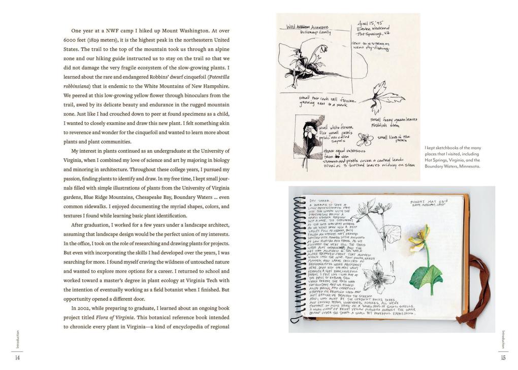Weitere Ansicht: A Perpetual Journal Practice | Lara Call Gastinger