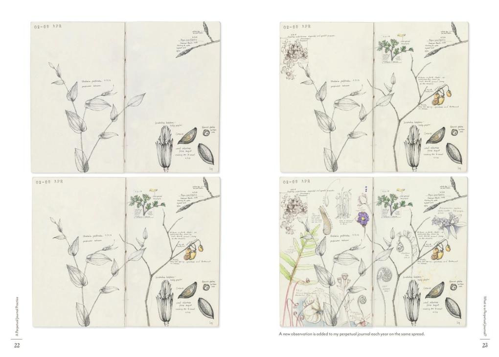 Weitere Ansicht: A Perpetual Journal Practice | Lara Call Gastinger