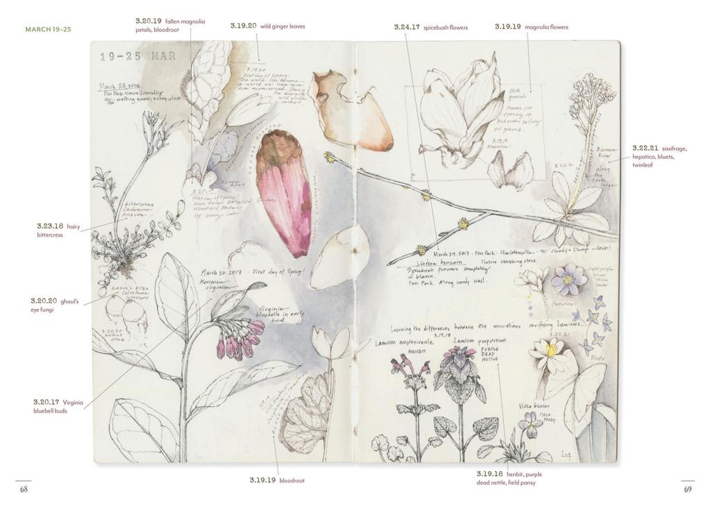 Weitere Ansicht: A Perpetual Journal Practice | Lara Call Gastinger
