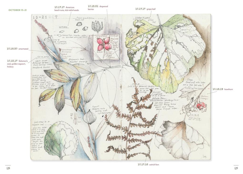 Weitere Ansicht: A Perpetual Journal Practice | Lara Call Gastinger