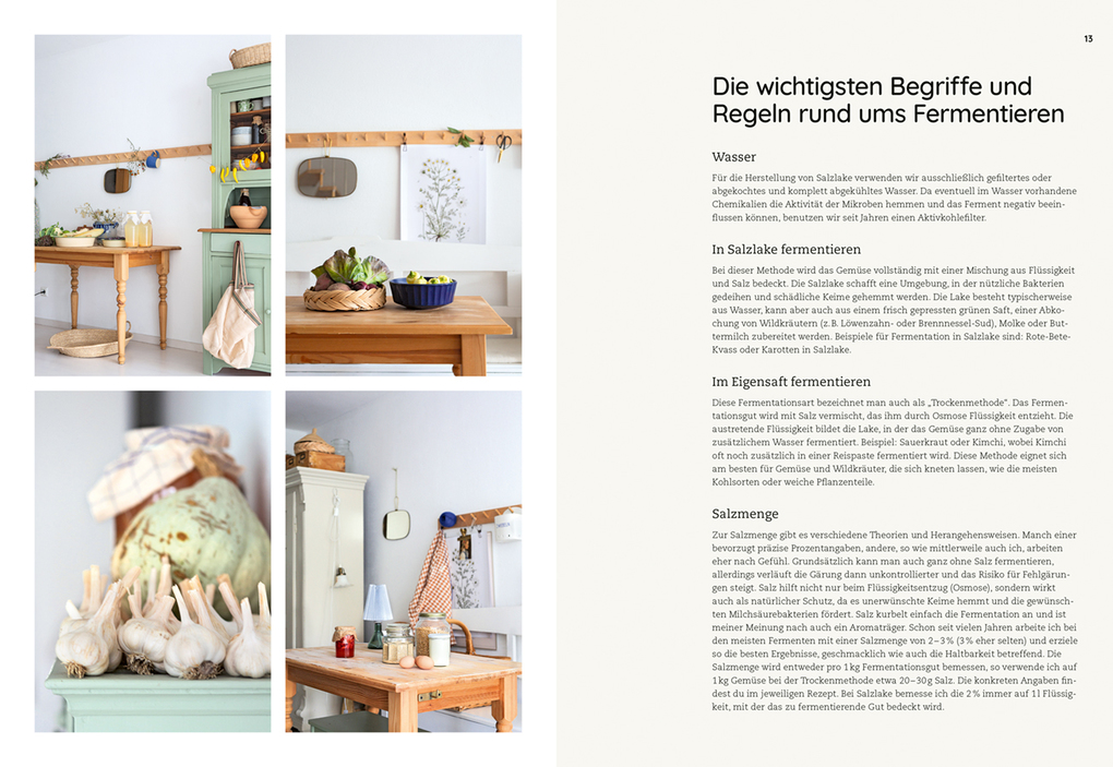 Weitere Ansicht: Die Kunst der wilden Fermentation | Sylwia Gervais