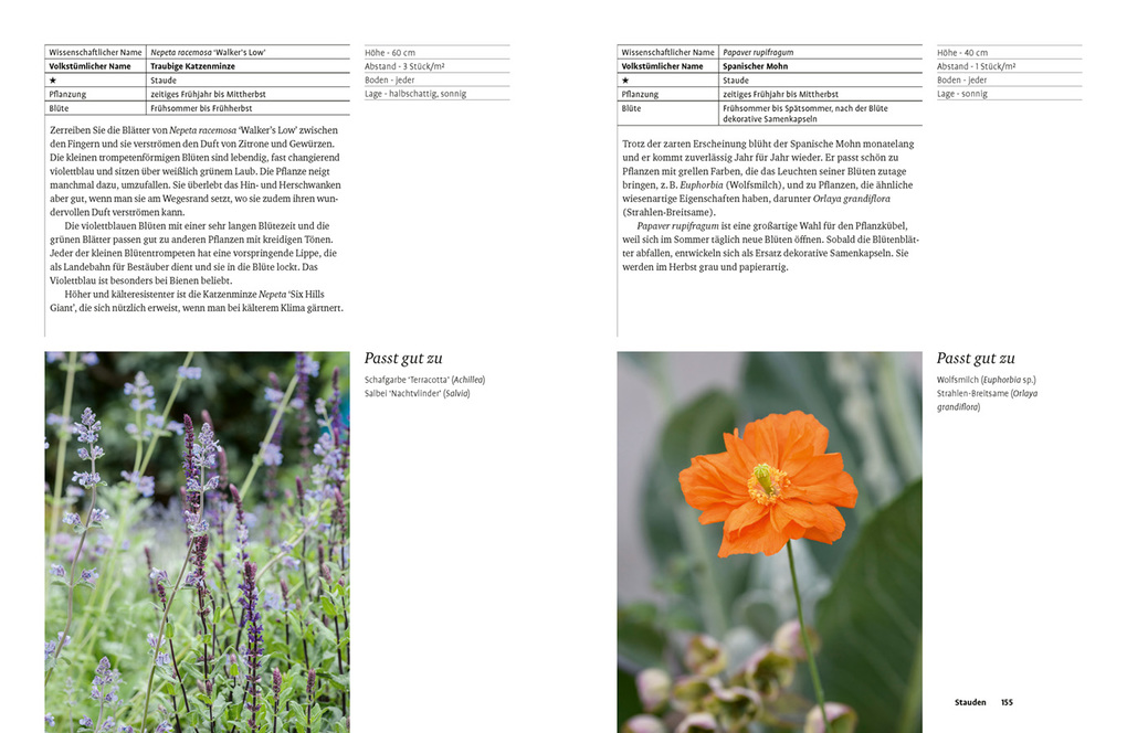 Weitere Ansicht: Grün in allen Farben | Lucy Bellamy